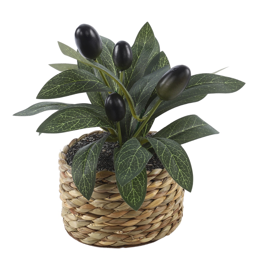 Artificial Plants Pocket Olive - Home Office Layout recension och pris
